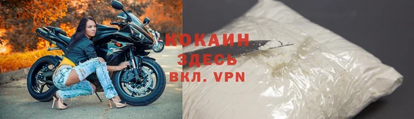 молекула духа Осинники