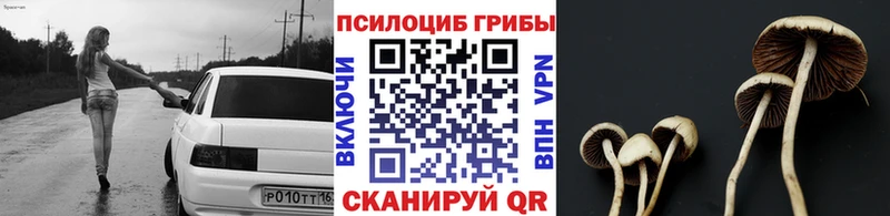 ОМГ ОМГ ссылка  Макушино  Галлюциногенные грибы Psilocybine cubensis  это Telegram  сколько стоит 